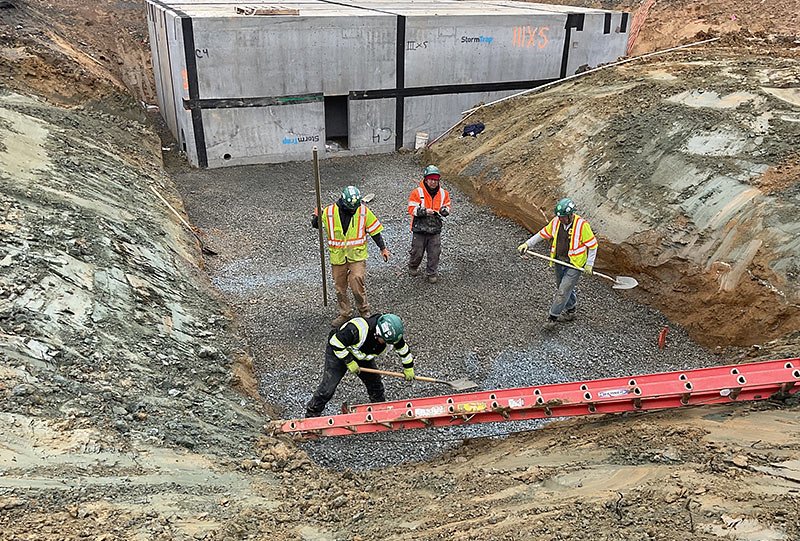 2026-03-06-25001-30-0000444-Eddy-Mead-20.